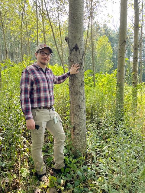 Image of Dr. Will Kohlway standing next to a poplar tree in a forest.