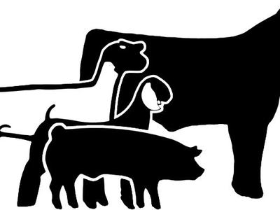 Livestock Clipart