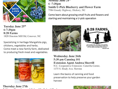 Local Food Festival June 24–27; Free farm tours and classes; registration link shown