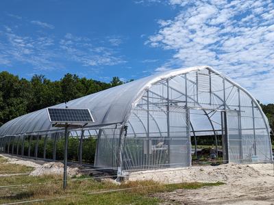 Polyethylene hoop greenhouse with solar panel mounted outside and worker kneeling inside