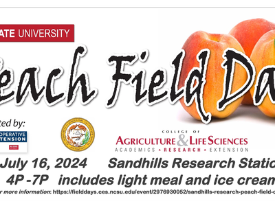 Peach Field Day