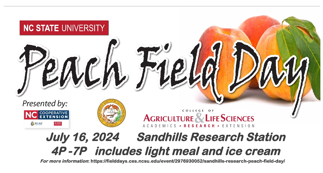 Peach Field Day