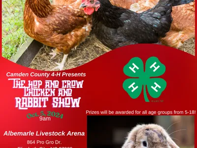 Hens and rabbit on 4-H flyer: "The Hop and Crow Chicken and Rabbit Show" Oct. 5, 2024 9am