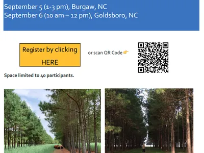 registration
