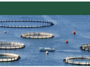 Census of Aquaculture.