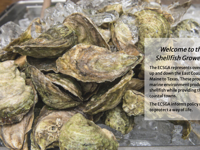 Oysters on ice with overlay text "Welcome to the East Coast Shellfish Growers Association"