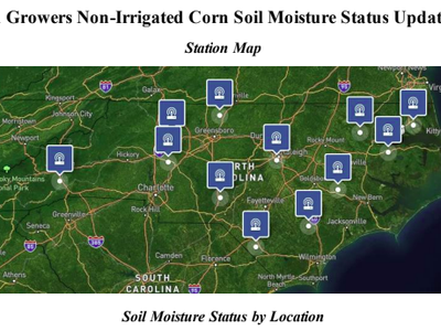 NC Corn Growers Non-Irrigated Corn Soil Moisture Status Update 7/27/24