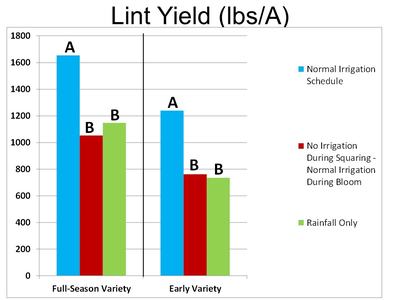Lint Yield (lbs/A) comparing Full-Season and Early varieties across three treatments: Normal Irrigation, No Irrigation during Squaring, Rainfall Only