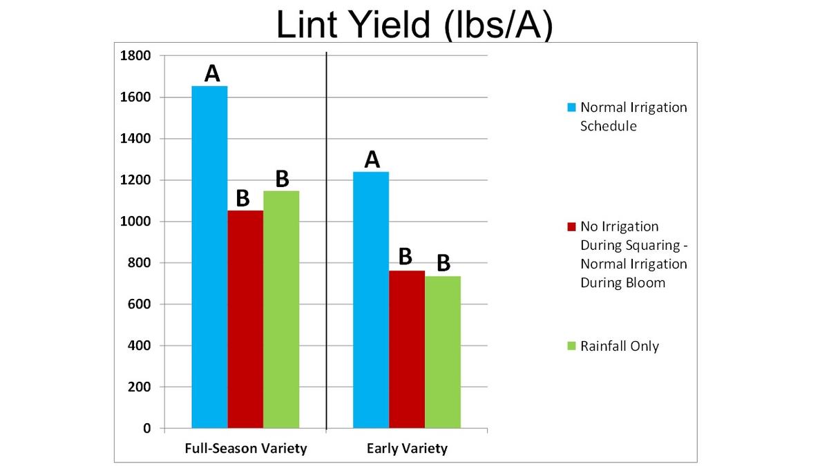 Lint Yield (lbs/A) comparing Full-Season and Early varieties across three treatments: Normal Irrigation, No Irrigation during Squaring, Rainfall Only