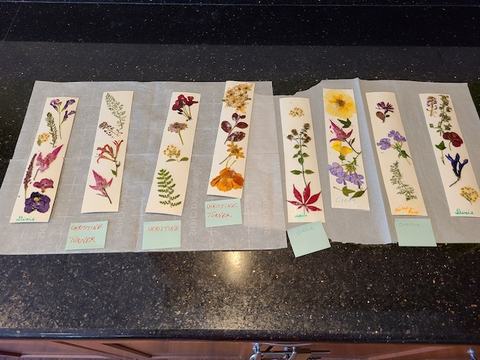 Several pressed-flower bookmarks on a countertop, some with sticky-note labels including "Christine"