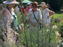 Master Gardeners Learning Garden