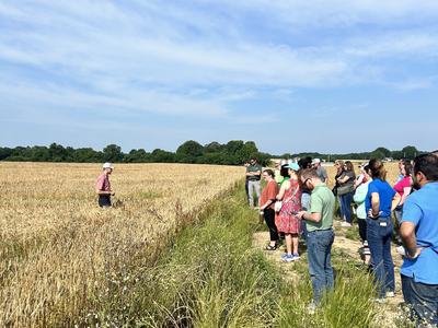 Group of people at field edge listening to a presenter standing in a wheat field