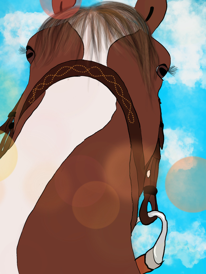 width="306" height="403"