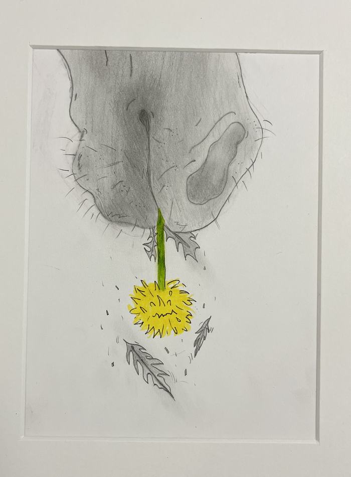 width="374" height="505"