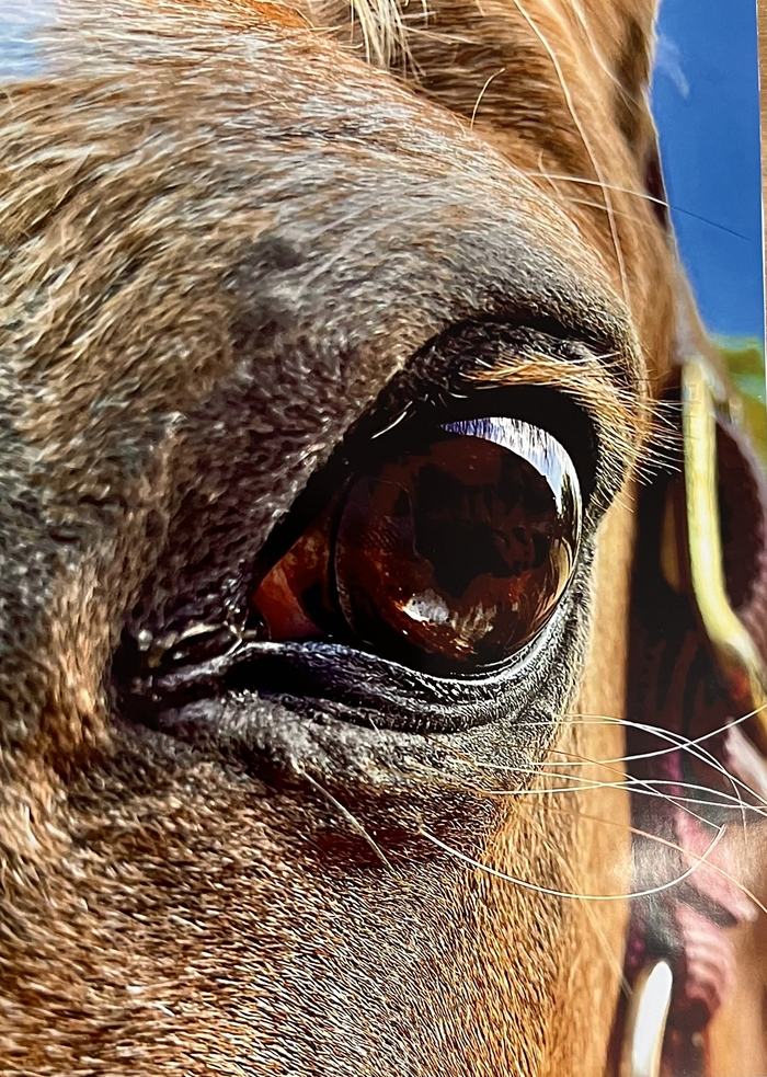 width="284" height="395"