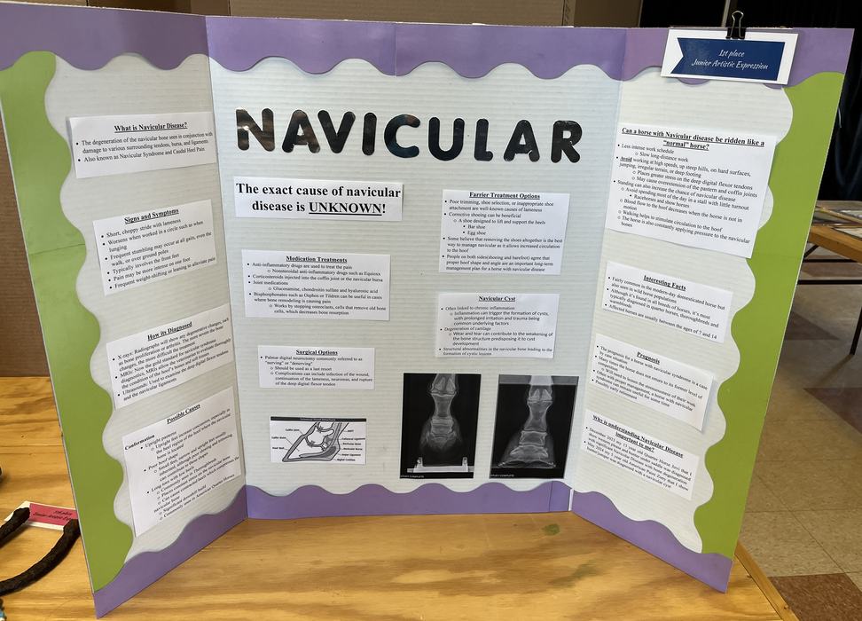 width="370" height="269"