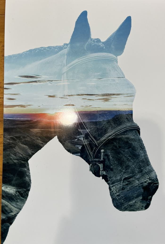 width="317" height="466"