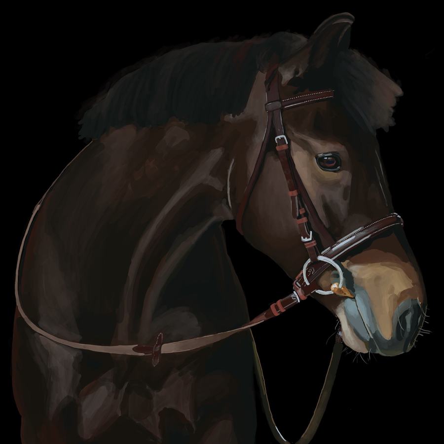 width="261" height="261"