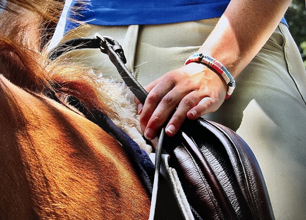 width="320" height="232"