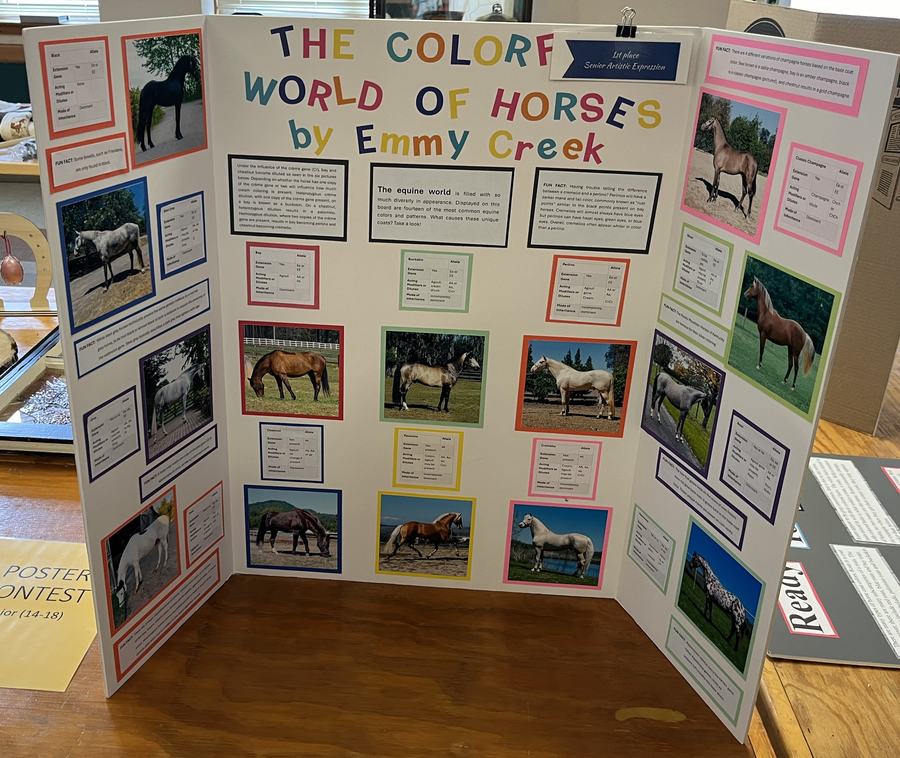 width="427" height="361"