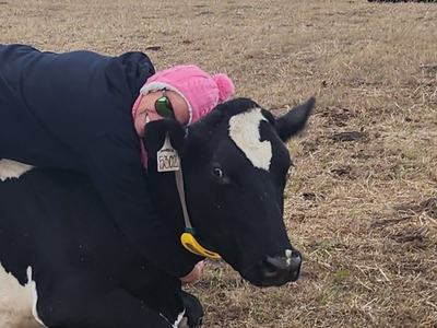 Livestock Agent, Kristi Welke, with Annabelle the heifer