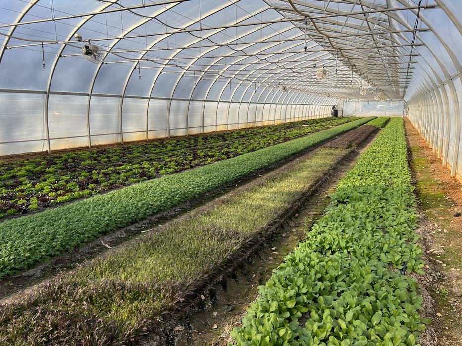 W.C. Breeze Research and Education Incubator Farm
