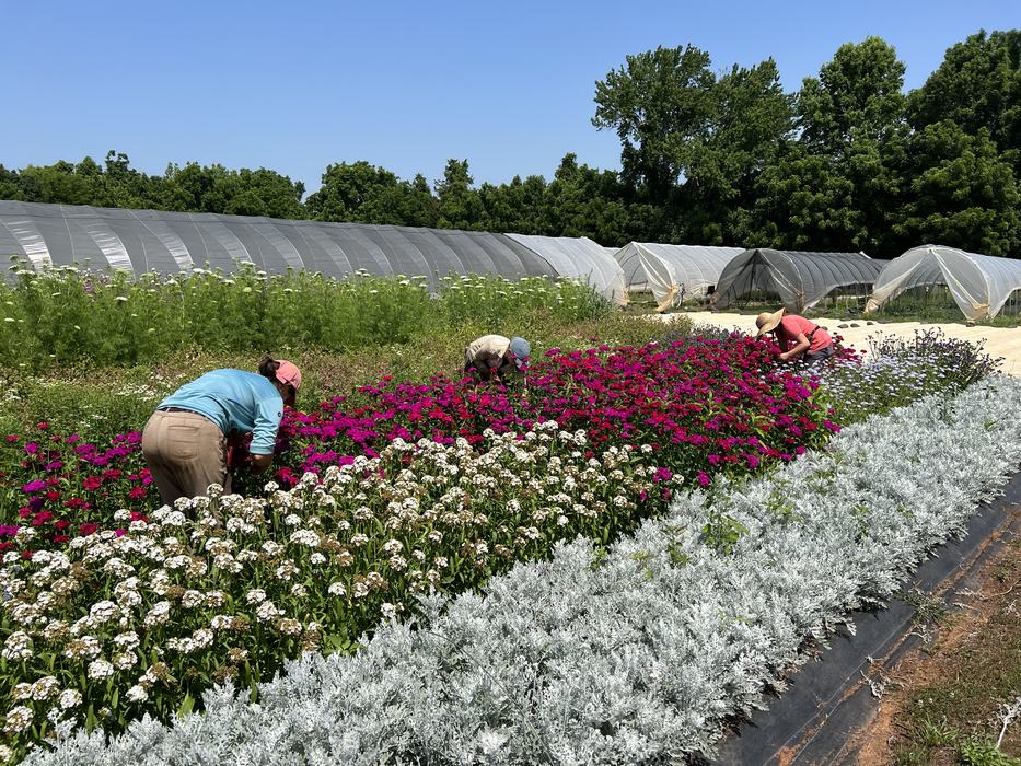 W.C. Breeze Research and Education Incubator Farm