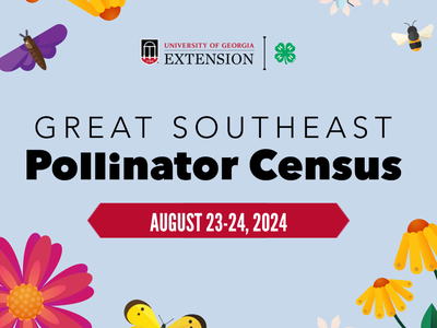 Pollinator Census logo