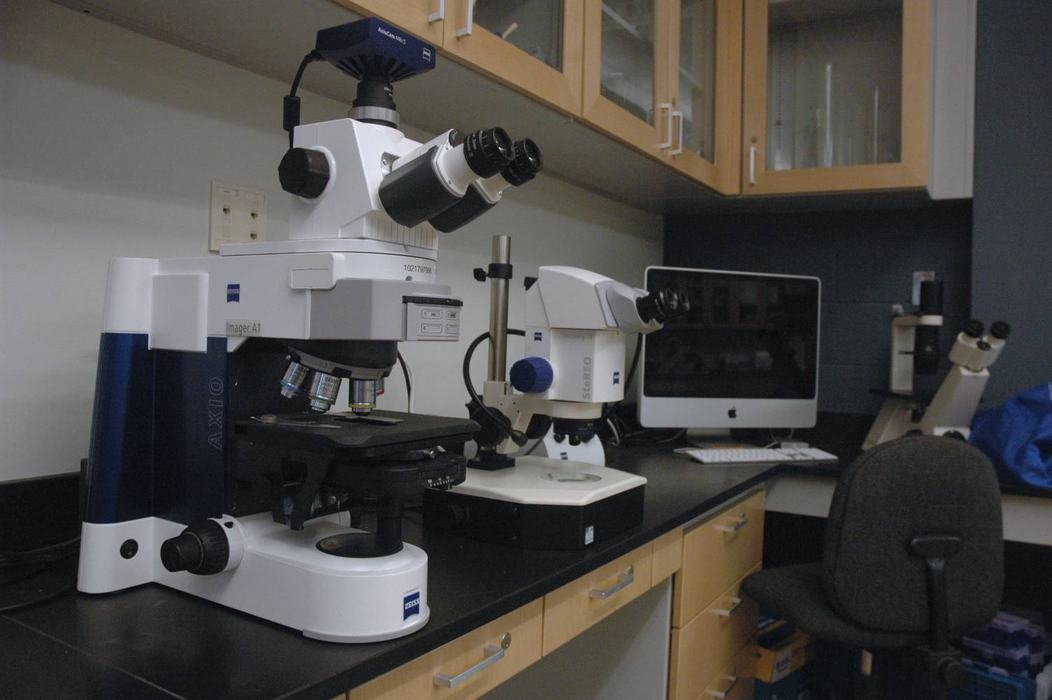 Laboratory bench with large compound microscope, stereo microscope, and desktop computer