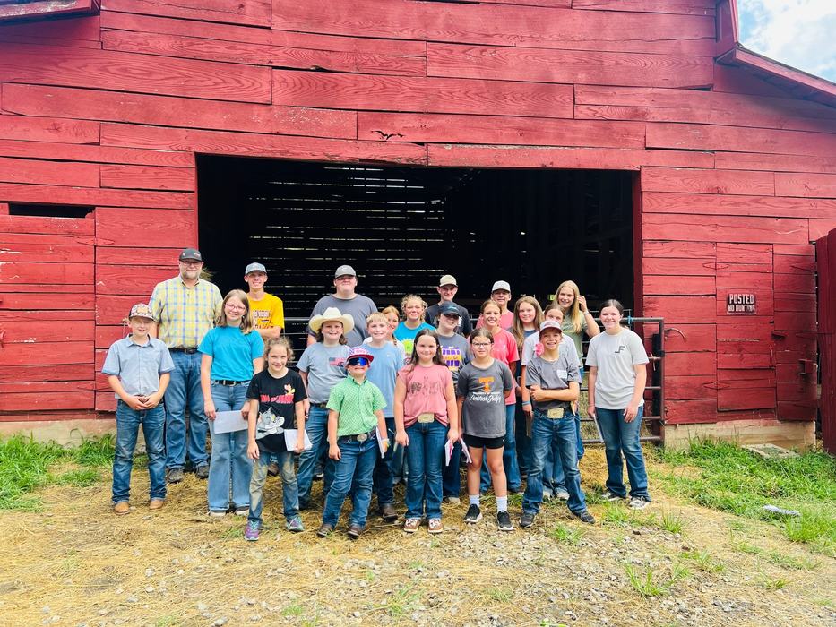 Livestock Judging
