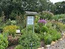 Sign reading "DOWNTOWN DISCOVERY GARDEN" among flowering plants and shrubs in a community garden