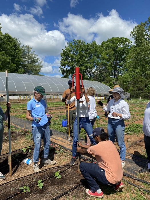 Group using red post driver to install a metal post in garden beds by a greenhouse