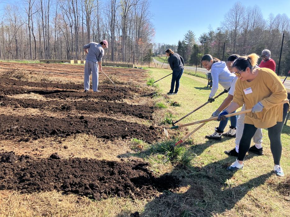 Group of people using hoes to till soil and prepare garden beds in a field