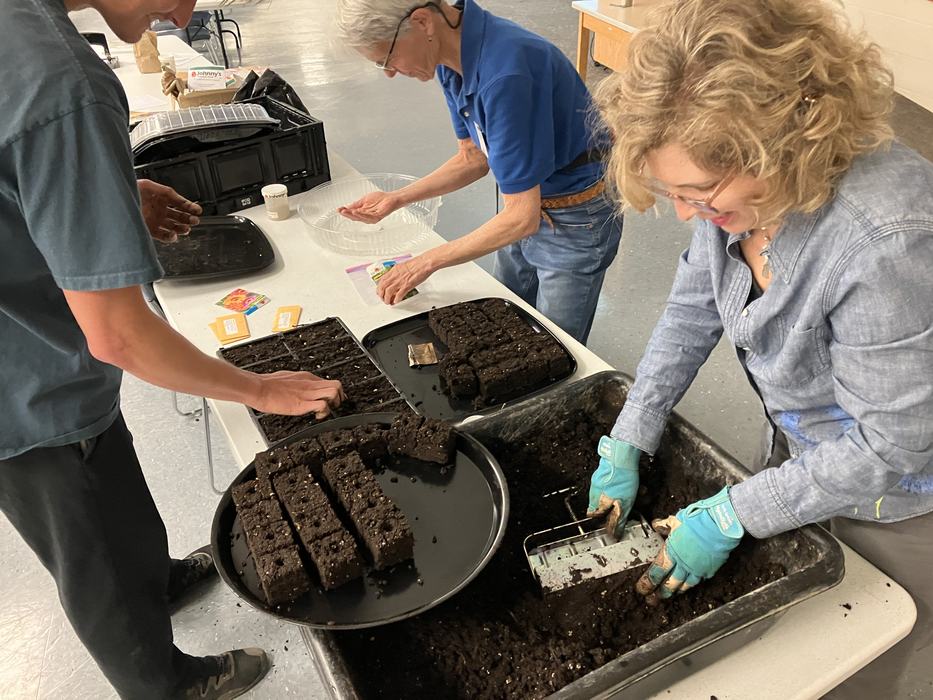 Three people filling and pressing soil into seed-starting trays on a table.