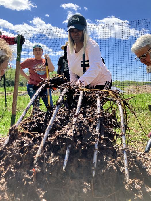 Person wearing Los Angeles cap lifts muddy root mass with metal tines while others watch.
