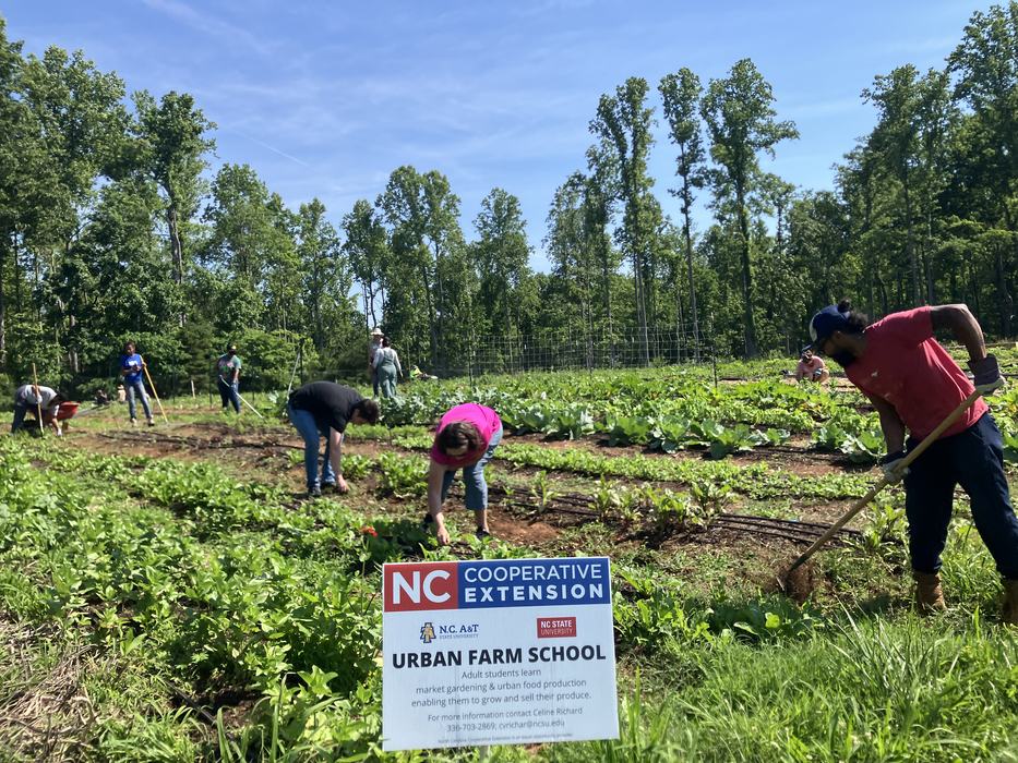 NC Cooperative Extension "Urban Farm School" sign; volunteers weeding and hoeing a vegetable field.