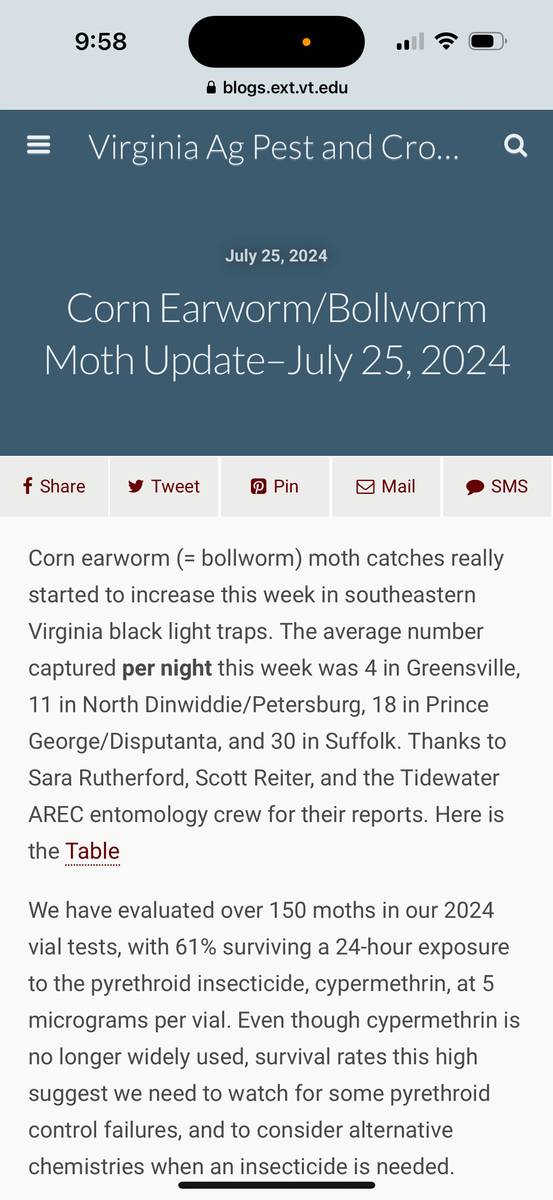 Corn earworm moth catches have started to increase this week in southeastern Virginia