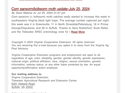 Virginia Ag Pest & Crop Advisory for the Corn Earworm/bollworm Moth