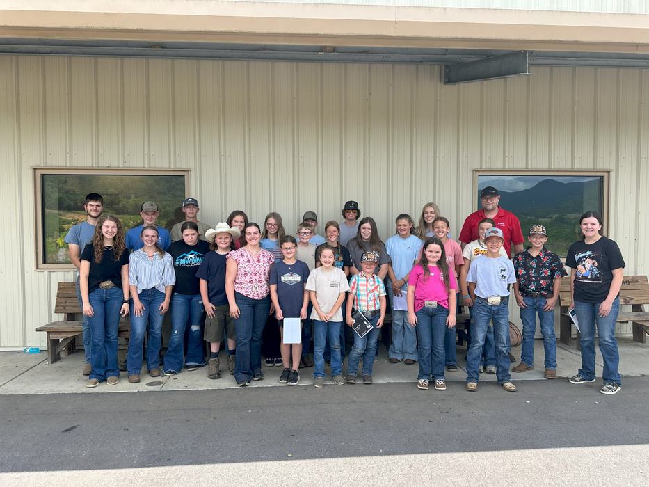 Livestock Judging