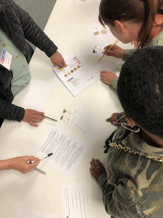Four people around a table examining seed samples and filling out worksheets