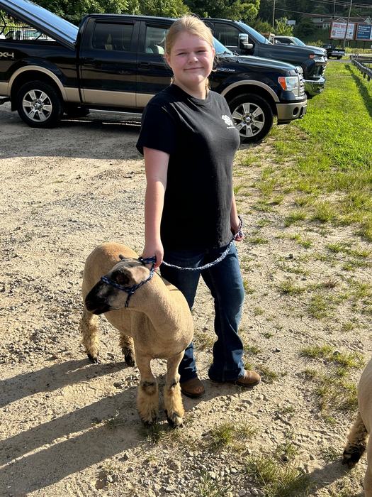 4-H'er with her lamb