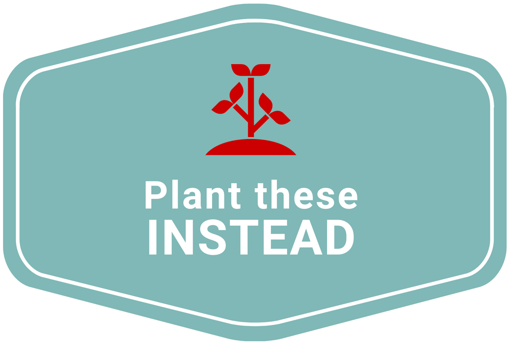 Plant These Instead graphic has a red plant above the words Plant These Instead on a blue background.