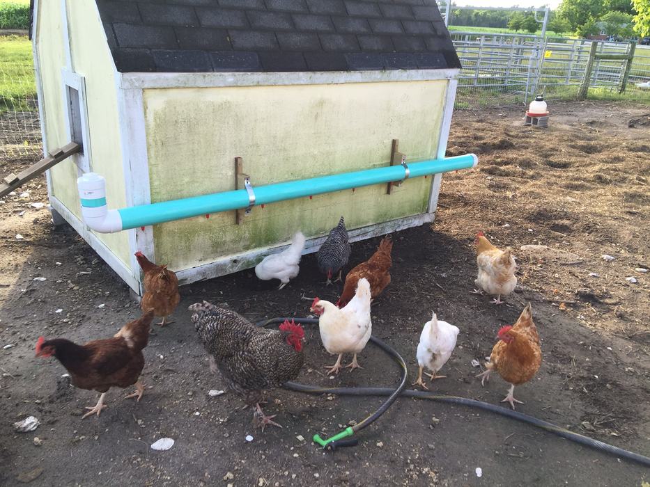 PVC pipe waterer