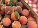 Basket of ripe peaches with leaves on red-and-white checkered tablecloth