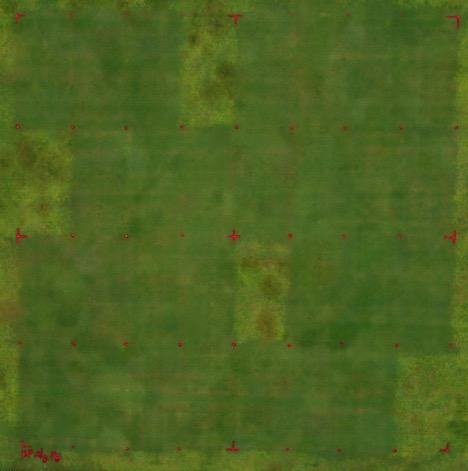 Grass field with red grid of dots and corner markers and scattered brown patches