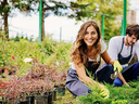 Two people gardening, woman kneeling planting greenery while man works nearby