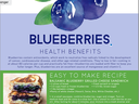 Blueberries Health Benefits Flyer