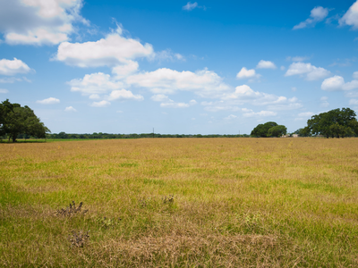 Wide grassy pasture with scattered trees along the distant horizon under a blue sky