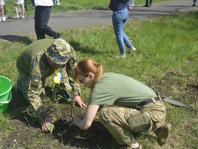 Two Ukraine soldiers plant a tree