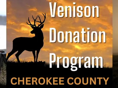 VDON Logo